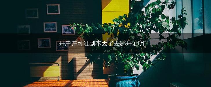 开户许可证副本丢了去哪开证明,第1张