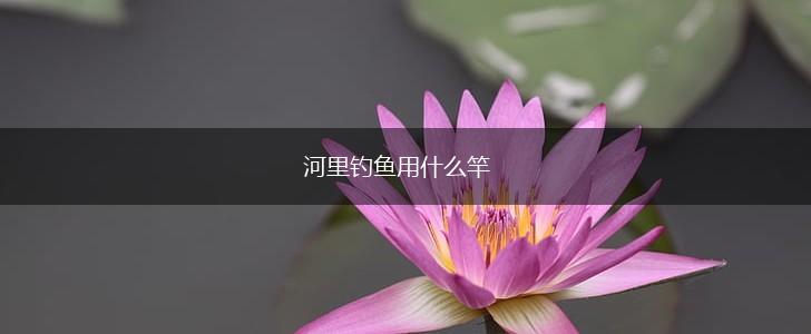 河里钓鱼用什么竿,第1张