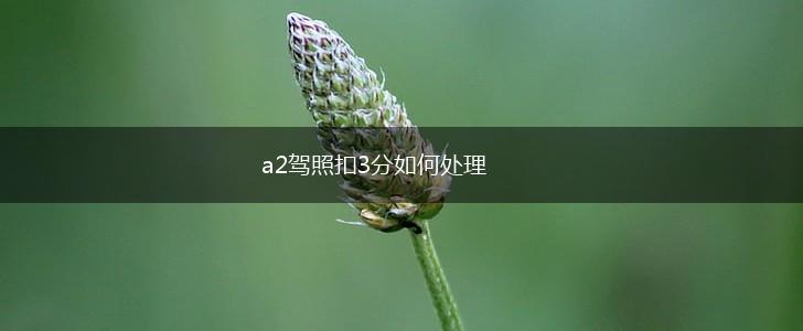 a2驾照扣3分如何处理,第1张