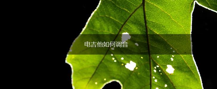 电吉他如何调音,第1张