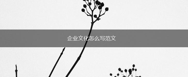 企业文化怎么写范文,第1张