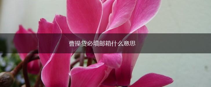 曹操贷必填邮箱什么意思,第1张