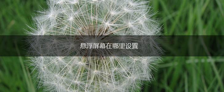 悬浮屏幕在哪里设置,第1张 悬浮屏幕在哪里设置,第1张