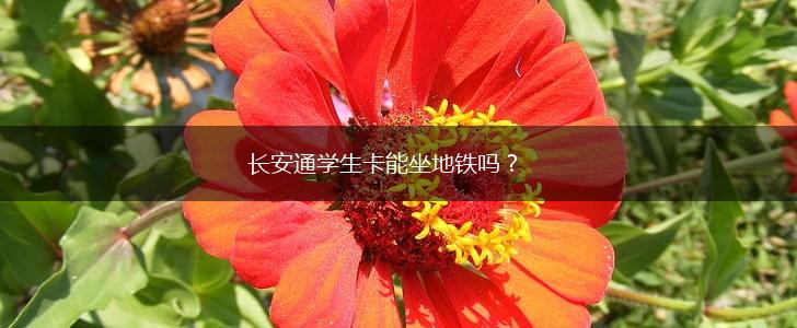 长安通学生卡能坐地铁吗？,第1张