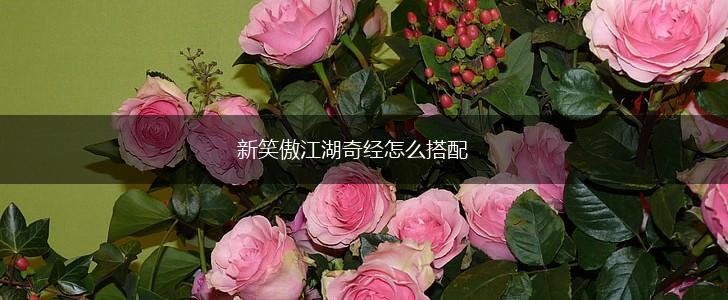 新笑傲江湖奇经怎么搭配,第1张