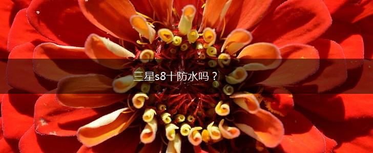 三星s8十防水吗？,第1张