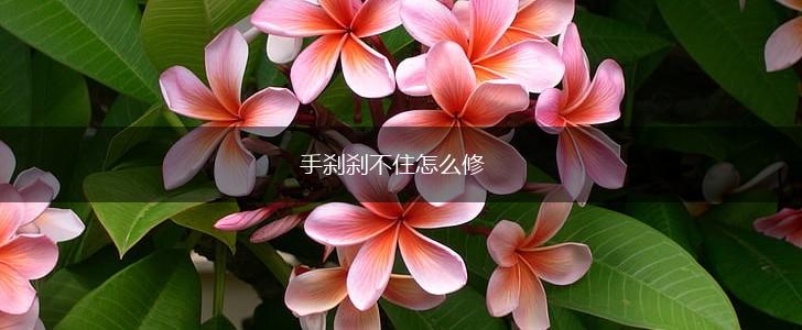 手刹刹不住怎么修,第1张