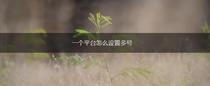 一个平台怎么设置多号,第1张 一个平台怎么设置多号,第1张