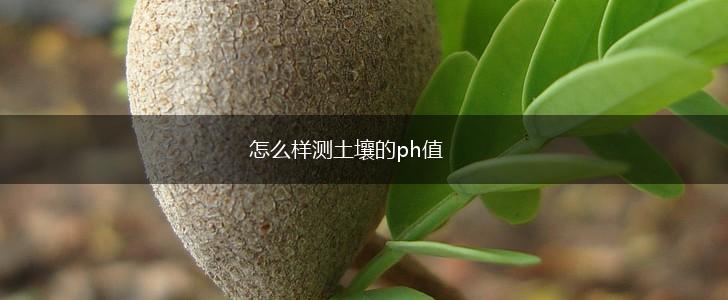 怎么样测土壤的ph值,第1张