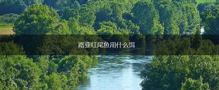 路亚红尾鱼用什么饵,第1张