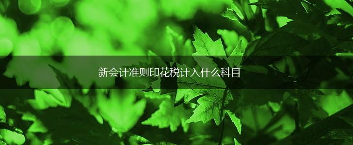 新会计准则印花税计入什么科目,第1张