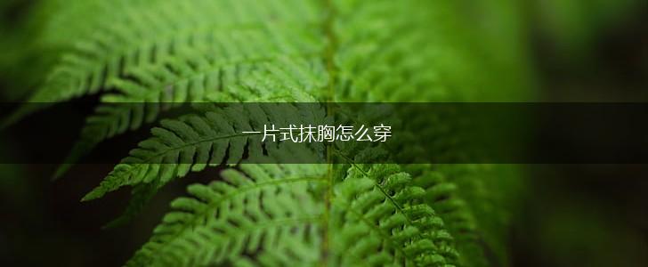 一片式抹胸怎么穿,第1张
