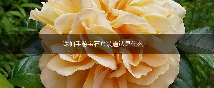 诛仙手游宝石套装道法是什么,第1张