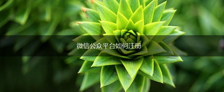 微信公众平台如何注册,第1张