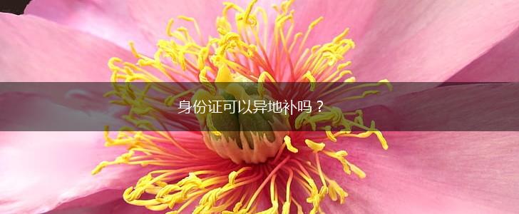 身份证可以异地补吗？,第1张