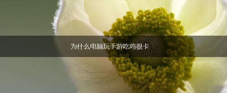 为什么电脑玩手游吃鸡很卡,第1张