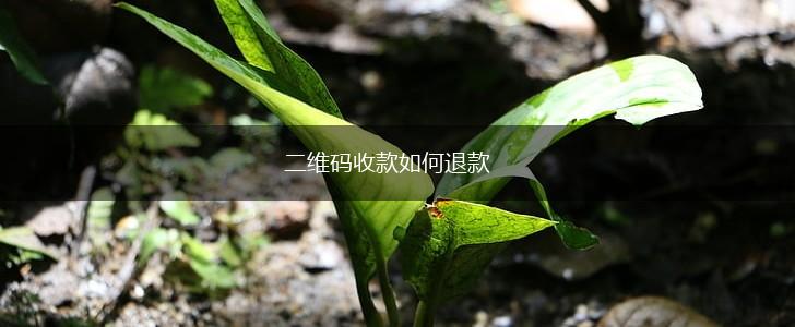 二维码收款如何退款,第1张