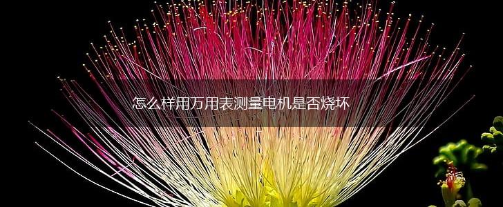 怎么样用万用表测量电机是否烧坏,第1张 怎么样用万用表测量电机是否烧坏,第1张