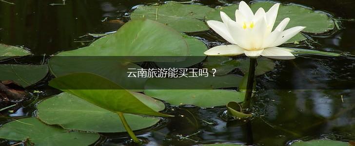 云南旅游能买玉吗？,第1张