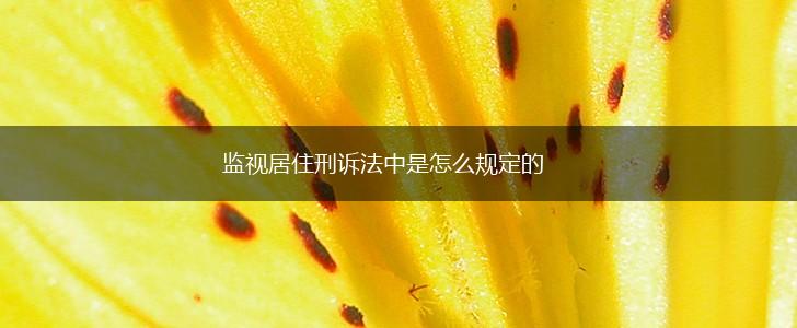 监视居住刑诉法中是怎么规定的,第1张