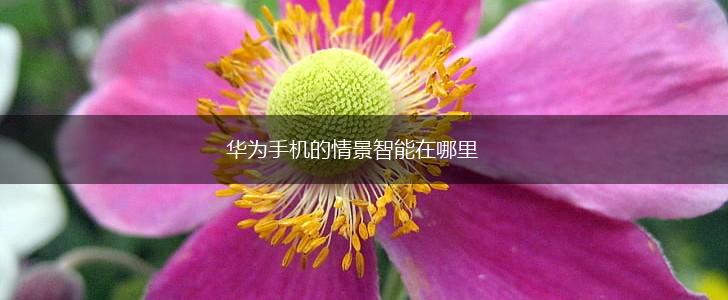 华为手机的情景智能在哪里,第1张