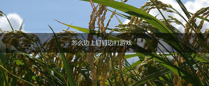 怎么边上钉钉边打游戏,第1张