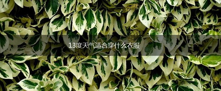 13度天气适合穿什么衣服,第1张