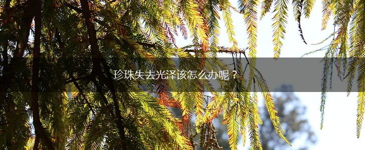 珍珠失去光泽该怎么办呢？,第1张