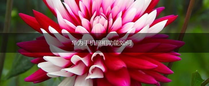华为手机照相功能如何,第1张