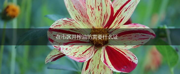 在市区开榨油坊需要什么证,第1张