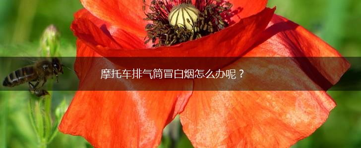 摩托车排气筒冒白烟怎么办呢？,第1张