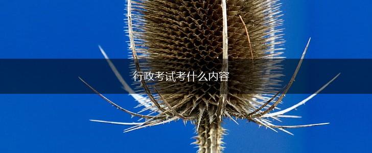 行政考试考什么内容,第1张