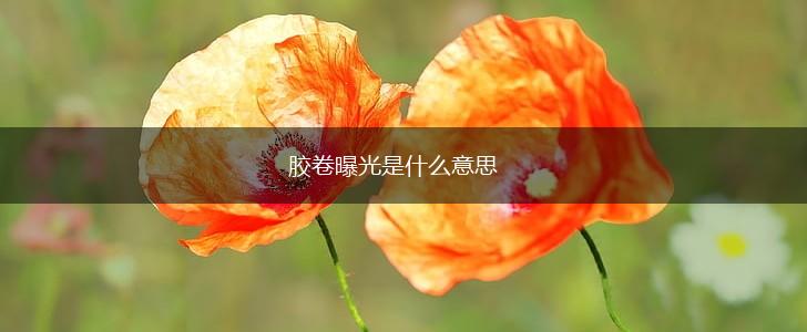 胶卷曝光是什么意思,第1张