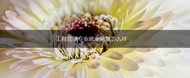 工商管理专业就业前景怎么样,第1张