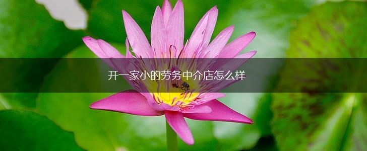 开一家小的劳务中介店怎么样,第1张
