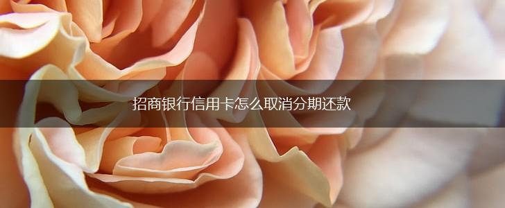 招商银行信用卡怎么取消分期还款,第1张