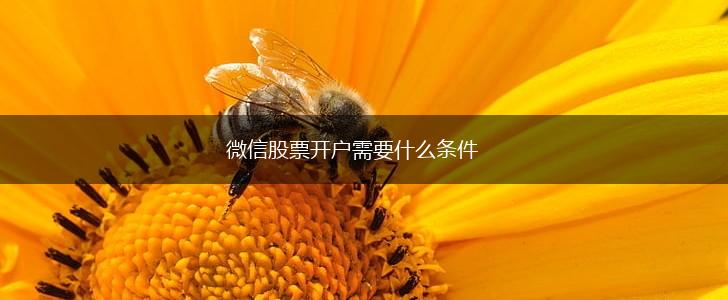 微信股票开户需要什么条件,第1张