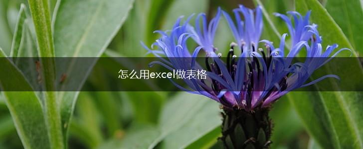 怎么用excel做表格,第1张