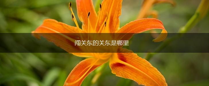 闯关东的关东是哪里,第1张