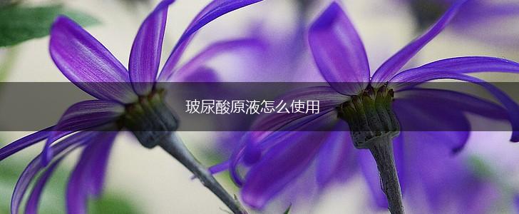 玻尿酸原液怎么使用,第1张