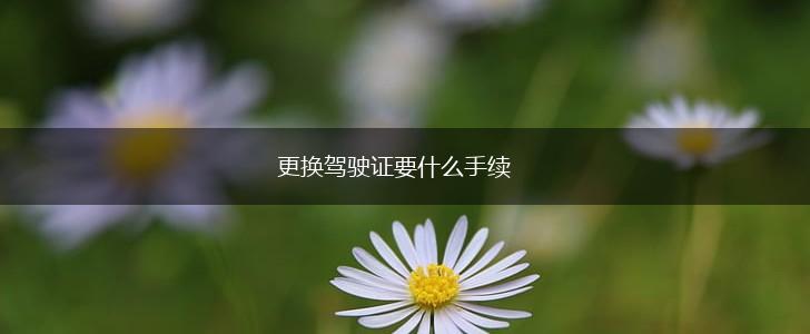 更换驾驶证要什么手续,第1张