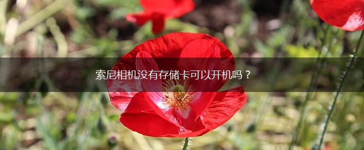 索尼相机没有存储卡可以开机吗？,第1张