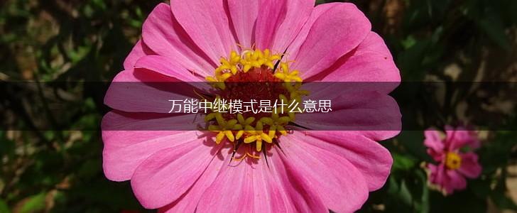 万能中继模式是什么意思,第1张