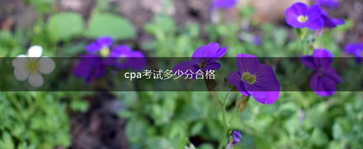 cpa考试多少分合格,第1张