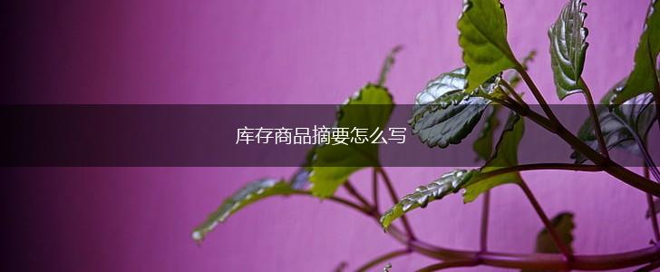 库存商品摘要怎么写,第1张