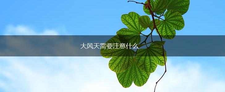 大风天需要注意什么,第1张