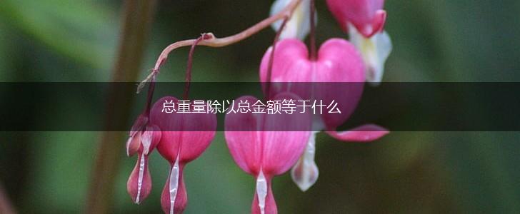 总重量除以总金额等于什么,第1张