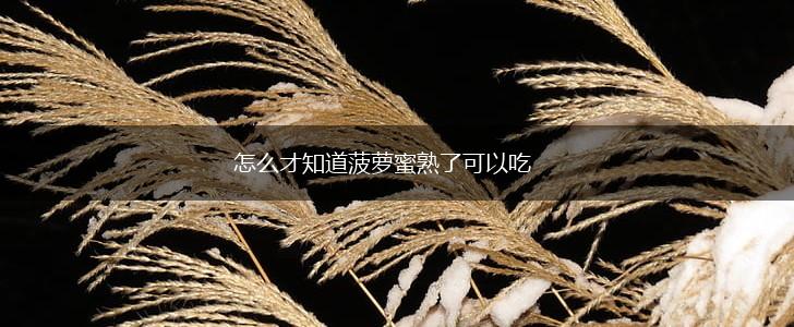 怎么才知道菠萝蜜熟了可以吃,第1张