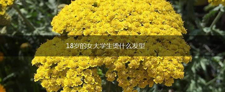 18岁的女大学生烫什么发型,第1张