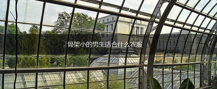 骨架小的男生适合什么衣服,第1张
